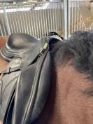 Selle Antarès monoquartier 