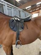 Selle Antarès monoquartier 