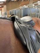 Selle Antarès monoquartier 