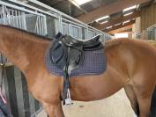 Selle Antarès monoquartier 