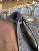 Selle Antarès monoquartier 