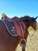 Selle dressage Meyer 