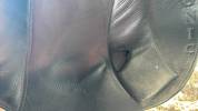 Selle dressage Ikonic 