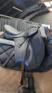 Selle wintec 17,5'