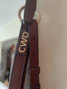 Collier de chasse CWD