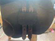 Sella Junior / Sella Pony   15.5" - 2023