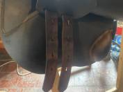 Sella Junior / Sella Pony   15.5" - 2023