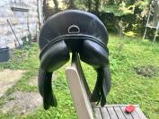 selle noir 16,5