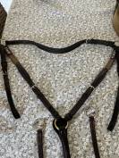 Collier de chasse CWD