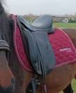 Sella da dressage Ronzon Prestige 17.5" - 2017