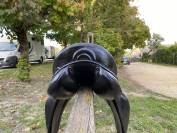 Sella da dressage Prestige Italia  17" - 2006