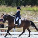 Selle Prestige vénus