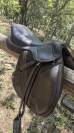 Sella da salto ostacoli Ikonic  17.5" - 2023