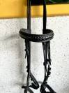 filet cuit noir cheval 