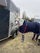 Couverture de box Pénélope poney