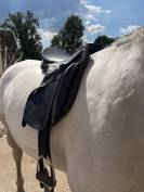 Selle dressage Kieffer