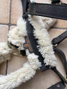 Licol KENTUCKY Horseware noir et mouton - Taille Full