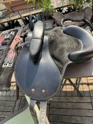 Bardette shetland + accessoires 