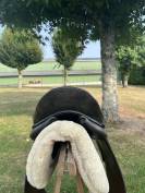 selle dressage belloir saumur 17 noire 