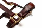 Cabezada de сuadra Classic Lazypony/ Patent halter LP
