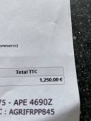 Sella Junior / Sella Pony KENT & MASTERS  16.5" - 2023