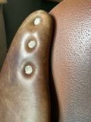 Selle Antarès 16,5’ CSO