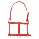 Licol nylon poulain - Riding World - Réglable et confortable