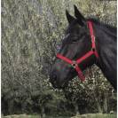 Licol nylon - Riding World - Confort réglable
