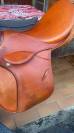 Selle Stubben 