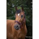 Licol NORTON - Doublé néoprène