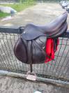  À VENDRE : Selle Équipe Évolution Spéciale – 17,5 pouc