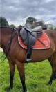 Selle GBS 17,5