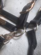 Licol en cuir 