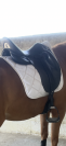 Selle dressage CHILDERIC DPL 18´´