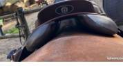 Selle Monoquartier