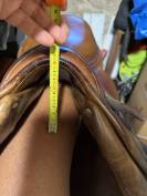 Selle BUTET Obstacle - belle occasion