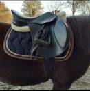 Tapis paddock sports en bon état 