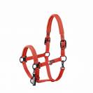 Licol Sparkle Doublepin Dynamic 25 A/W - Eskadron - Softshell brillant