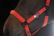 Licol Sparkle Doublepin Dynamic 25 A/W - Eskadron - Softshell brillant