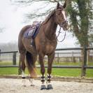 Tapis de selle Sensisoft - QHP - Doublure en fausse fourrure