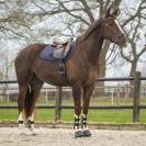 Tapis de selle Sensisoft - QHP - Doublure en fausse fourrure