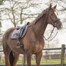 Tapis de selle Sensisoft - QHP - Doublure en fausse fourrure