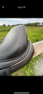 Selle Ikonic 17´ 