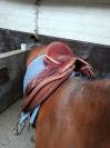 Selle de dressage WOW 