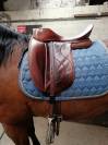 Selle de dressage WOW 
