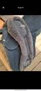 Selle Wintec Wild Lite 