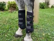 Guêtres Cheval dressage VEREDUS Piaffe Revo