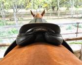 Wow saddles 17,5