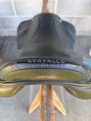 Sella nera 17,5 del 2023