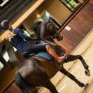 Pantalon d'hiver Lymée Softshell Full Grip - QHP - Déperlant